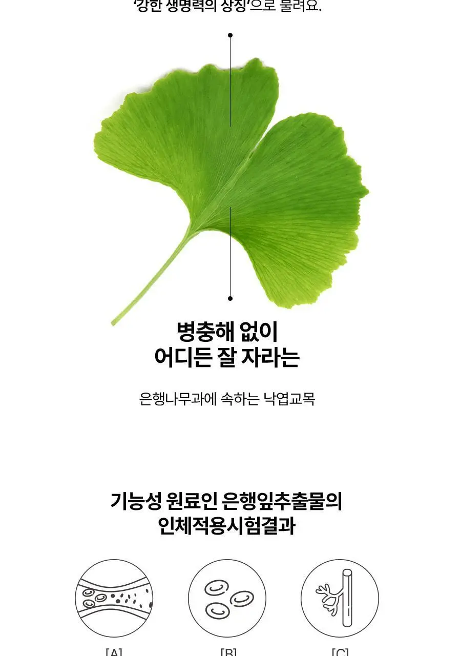 [서현PICK] 콜레올로지 티 PRO 하비탈출 8,000mg X 7포/15포 (7일분/15일분) 상세페이지 23